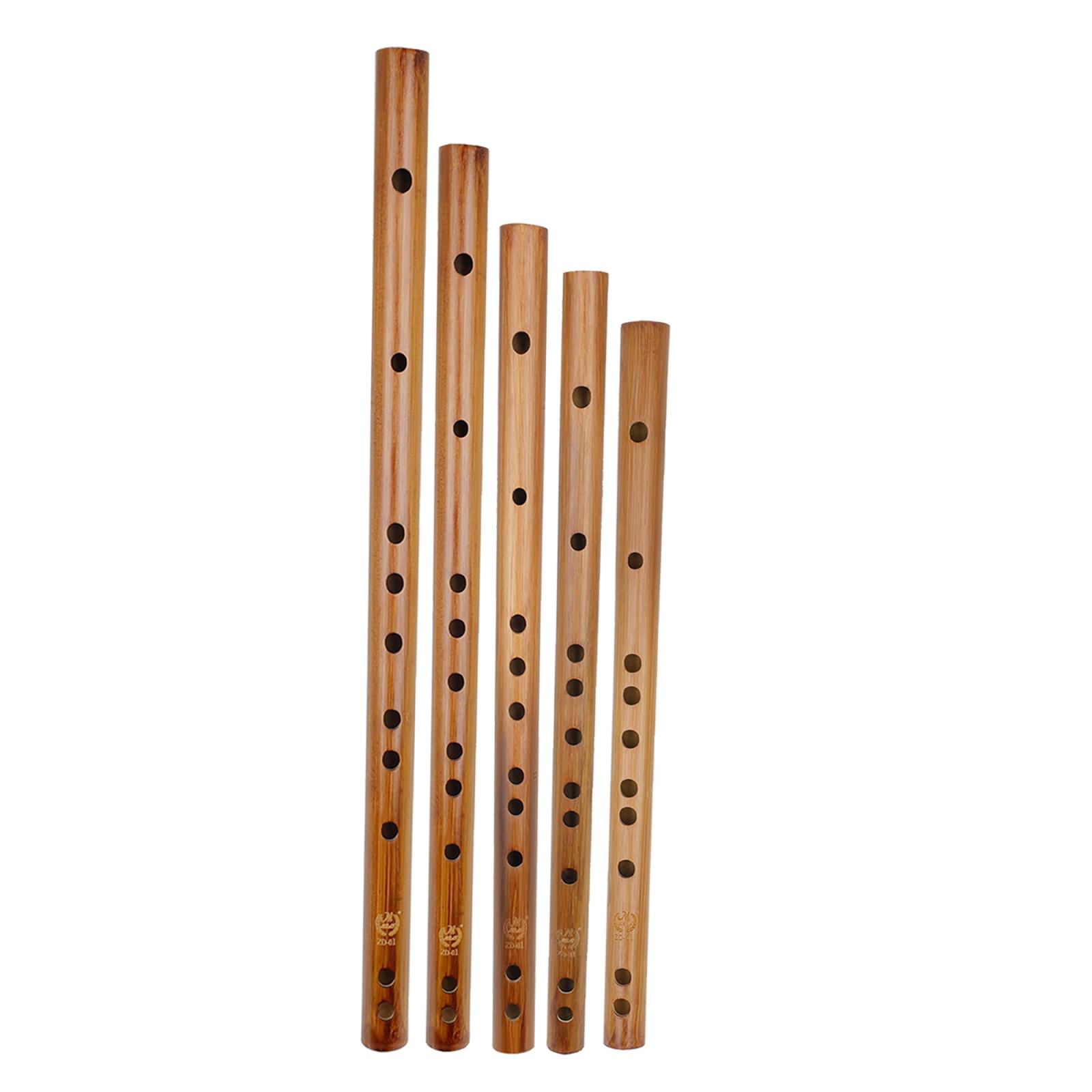 هدية عيد ميلاد فريدة من نوعها  - مراجعة Musical Instrument Of India وسعره