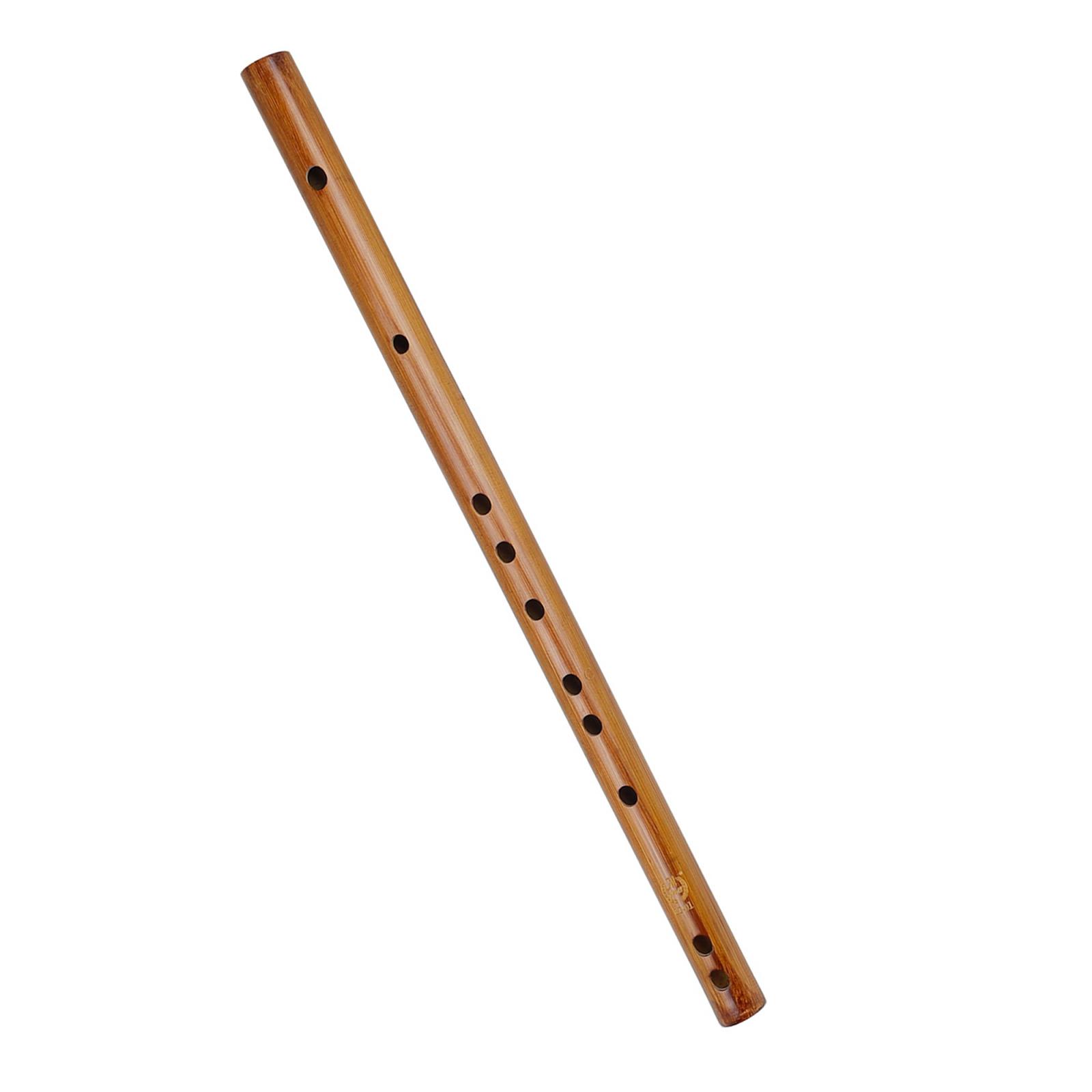 هدية عيد ميلاد فريدة من نوعها  - مراجعة Musical Instrument Of India وسعره