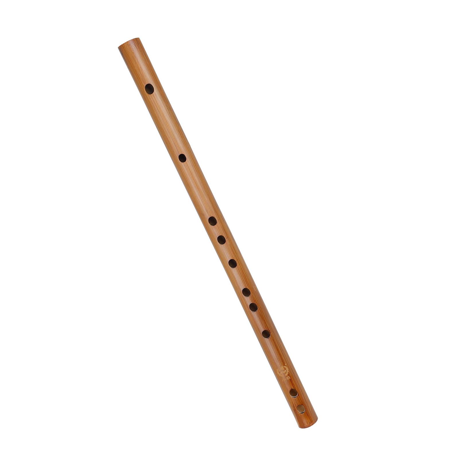 هدية عيد ميلاد فريدة من نوعها  - مراجعة Musical Instrument Of India وسعره