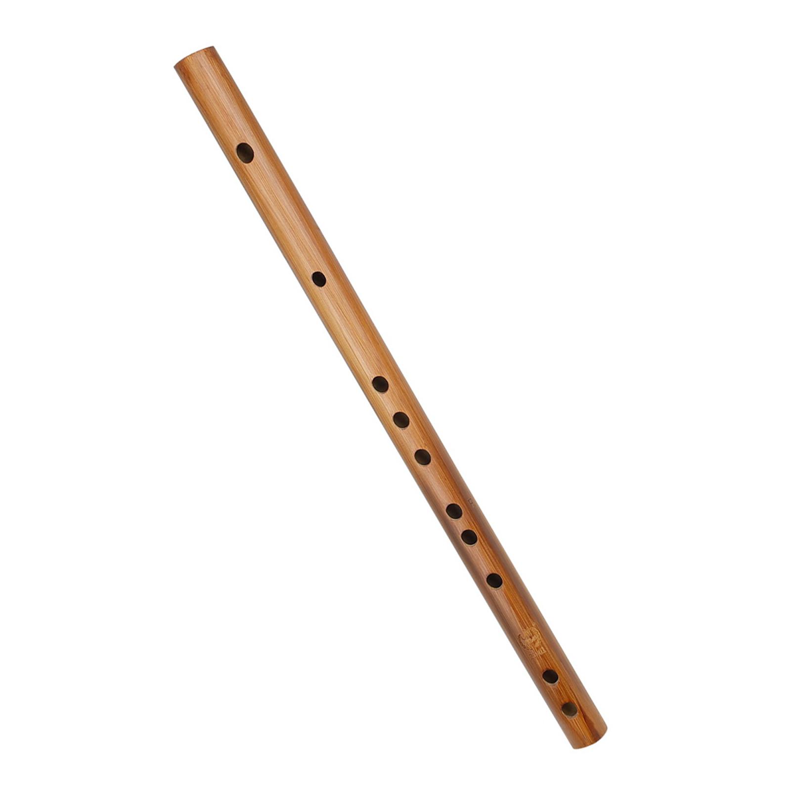 هدية عيد ميلاد فريدة من نوعها  - مراجعة Musical Instrument Of India وسعره