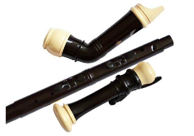 المهنية 8 ثقوب الباروك باس الر - مراجعة Musical Instrument In English وسعره