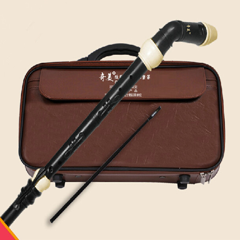 المهنية 8 ثقوب الباروك باس الر - مراجعة Musical Instrument In English وسعره