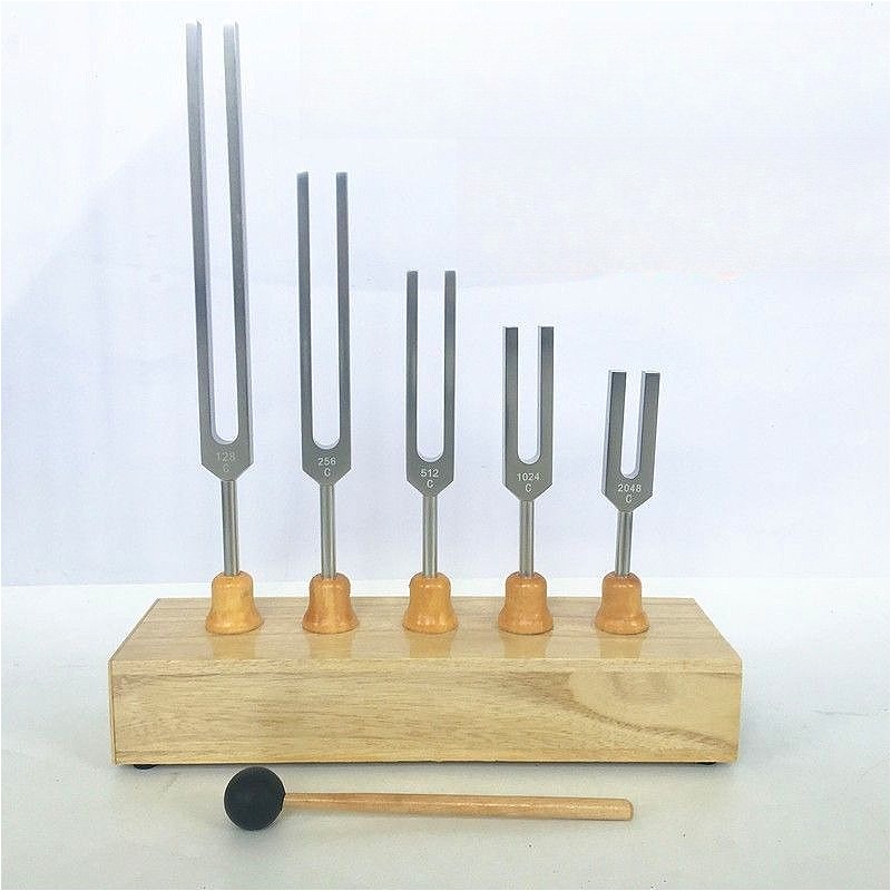 مجموعة شوكات رنانة من سبائك ال - مراجعة Musical Instrument Groups وسعره