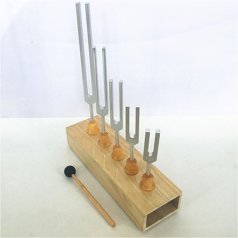 مجموعة شوكات رنانة من سبائك ال - مراجعة Musical Instrument Groups وسعره