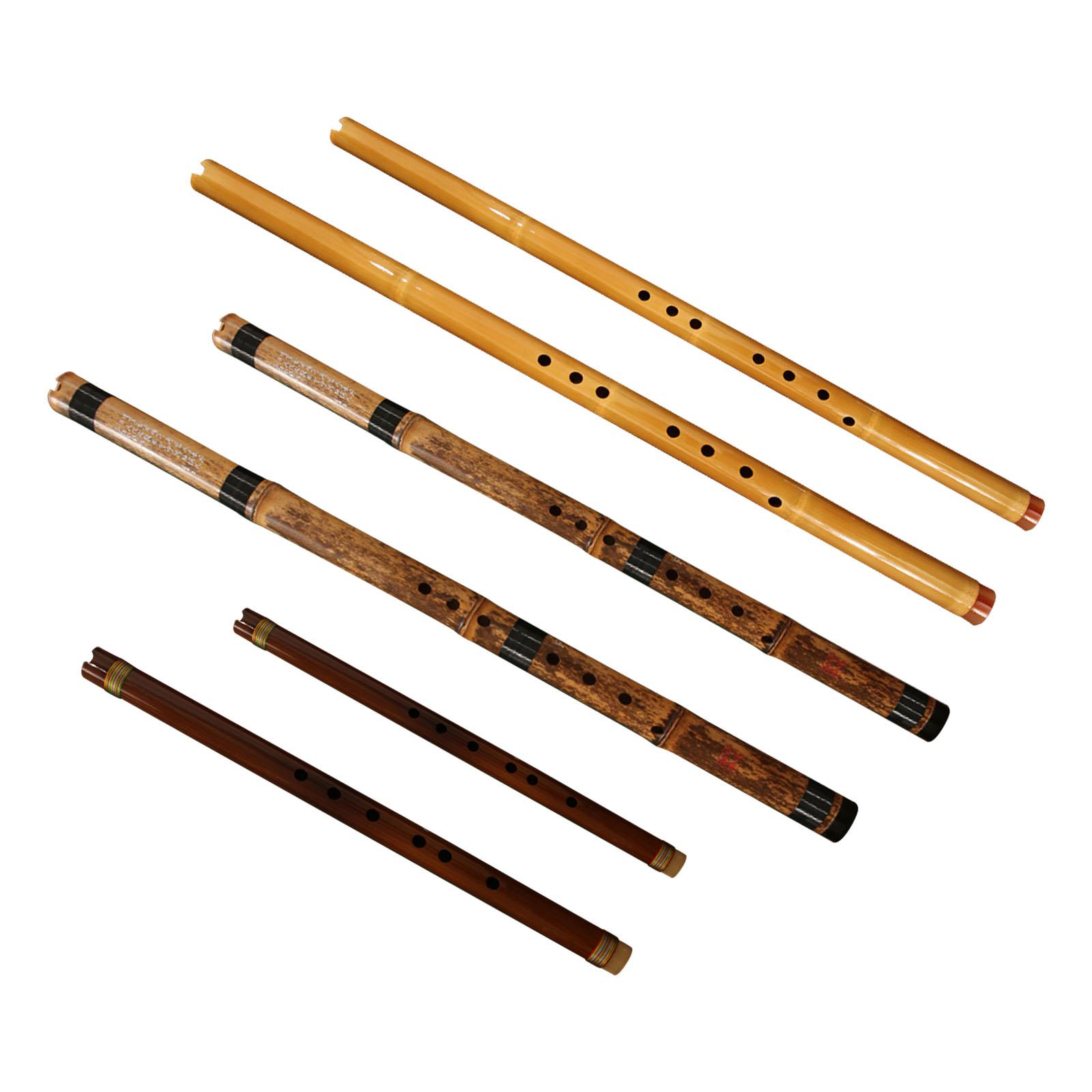 فلوت آلة موسيقية كلاسيكية من ا - مراجعة Musical Instrument Easy To Learn For Adults وسعره