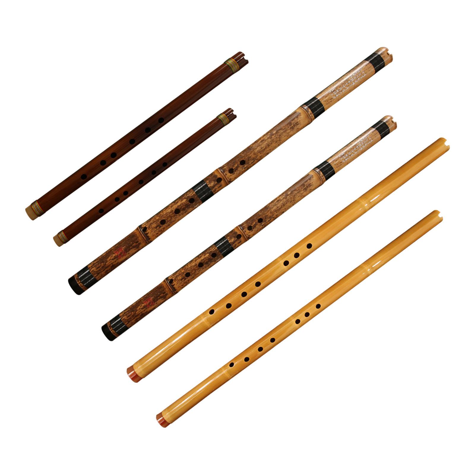 فلوت آلة موسيقية كلاسيكية من ا - مراجعة Musical Instrument Easy To Learn For Adults وسعره